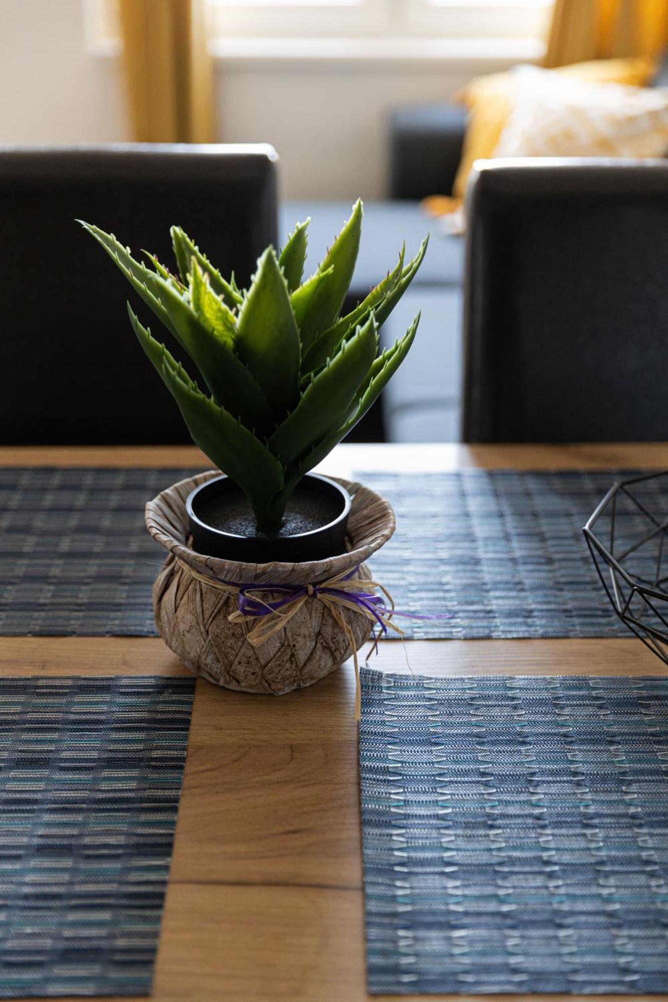 Lovely 1Bd Flat Near The Sea Garden By Flat Mаnаger Burgas City Exteriér fotografie